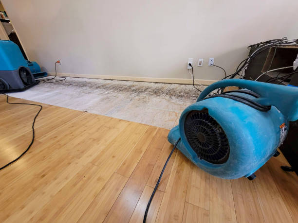 Professional Water Damage Repair technician working in Long Branch, NJ